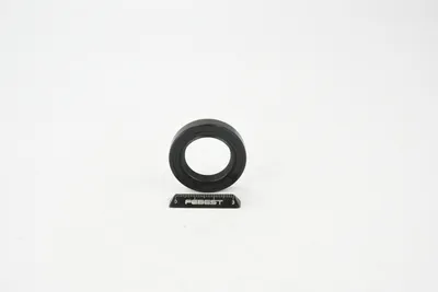 Produktbild von Febest 95Gay-26400808R