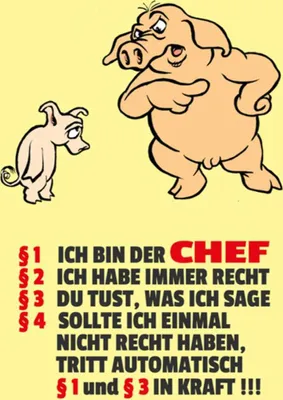 Produktbild von vianmo Holzschild 40x30 cm Ich bin der Chef (Schweine)