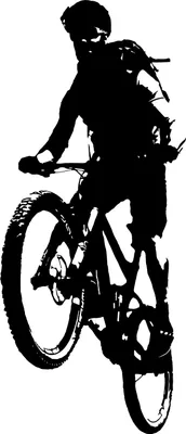 Produktbild von Wandtattoo - Mountainbike - Downhill - MTB - Fahrrad - Bike