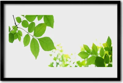 Produktbild von Bild 60x40 MDF-Rahmen Wandkunst Natur Blütenblätter Pflanze