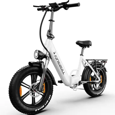 Produktbild von Klappbares 20 Zoll Fatbike E-Bike mit abnehmbarem Akku und bis zu 100 km Reichweite, 250W Motor, Shimano 7-Gang-Schaltung, 20×4.0" Fatbike-Reifen
