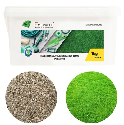 Zdjęcie produktu dla Barenbrug trawa regeneracyjna EMERALLD Premium 2kg