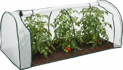 Immagine prodotto di Serra da giardino Relaxdays, A x L x P: 80 x 200 x 100 cm, pellicola in PE, ferro, sportello con cerniera, copertura per aiuola rialzata, bianco/verde