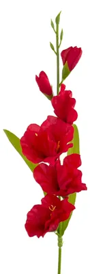 Produktbild von Künstliche Gladiole ca. 60cm Schwertlilie ROT