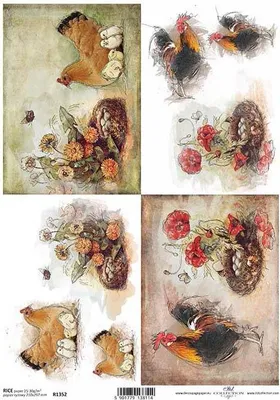 Produktbild von ITD Reispapier Decoupage Bastelpapier Softpapier Serviettentechnik, Hühner R1352