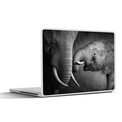 Produktbild von MuchoWow® Laptop Aufkleber Sticker Cover Wildtiere - Elefant - Schwarz - Weiß - Porträt 36.5x27.5 cm - Laptop-Sticker