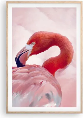 Produktbild von Gerahmtes Poster - Rahmen in heller Eiche - Flamingo Vogel Porträt - 61x91,5 cm - Wand Bild - Wanddeko - Wandbilder - Kunstposter - Wandposter - Bilderrahmen - Bilder - Kunstdruck - P2NPA61x91-4984