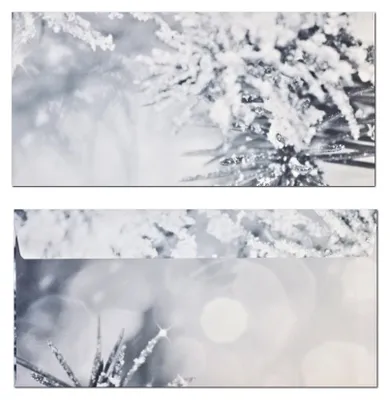Produktbild von Briefumschläge haftklebend (Winter-5180, DIN lang, 50 Stück) Schnee Weihnachten verschneiten Tannenäste Umschläge DIN lang (220 x 110mm)