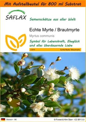 Produktbild von SAFLAX - Garden in the Bag - Echte Myrte - Brautmyrte - 30 Samen - Mit Anzuchtsubstrat im praktischen, selbst aufstellenden Beutel - Myrtus communis
