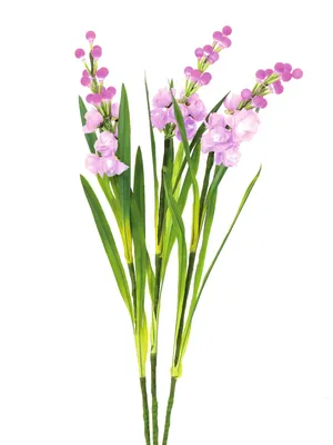 Productafbeelding van EUROPALMS Aronstab-set van 3 met LED-verlichting, roze, 85 cm (83330304)