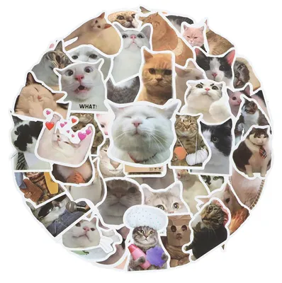 50 lustige Katzen-Sticker, wasserdicht, 5-8 cm, bunt
