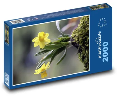 Obrázok produktu pre martinpuzzle - Puzzle 2000 - Žltý narcis