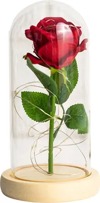 Produktbild von Künstliche Rosen, Ewige Rosen mit LED-Licht, realistisch aussehende, batteriebetriebene Simulationsrosen, Weihnachtsgeschenke