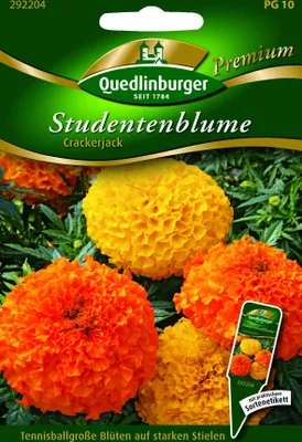 Produktbild von Studentenblumen, Crackerjack
