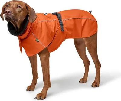 Image de Manteau de chien Hunter Nordby orange 45
