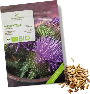Produktbild von Mariendistel Samen - Heilkräuter Saatgut aus biologischem Anbau ideal für den heimischen Kräutergarten, Balkon & Garten (50 Korn)