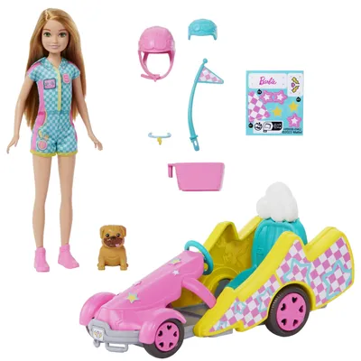 Produktbild von Barbie HRM08, Modepuppe, Weiblich, 3 Jahr(e), Junge/Mädchen, 138,9 mm, 340 g