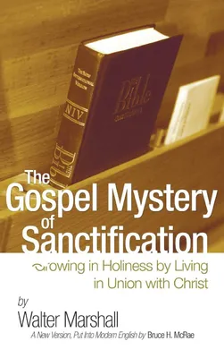 Produktbild von The Gospel Mystery of Sanctification