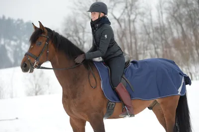 Produktbild von Bucas Ausreitdecke Riding Rug Navy/ Silver L