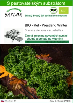 Obrázok produktu pre SAFLAX - BIO - Kel - Westland Winter - Brassica oleracea var. sabellica - 70 Semená - S pestovateľským substrátom bez klíčkov
