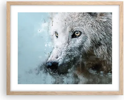 Produktbild von Gerahmtes Poster - Rahmen in heller Eiche - Weiß Der Wolf Bild - 50x40 cm - Wand Bild - Wanddeko - Wandbilder - Kunstposter - Wandposter - Bilderrahmen - Bilder - Kunstdruck - P2NAA50x40-4623