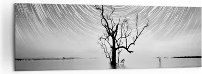 Produktbild von Bild auf Leinwand - Leinwandbild - Einteilig - Schwarzweiß Baum See - 160x50cm - Wand Bild - Wanddeko - Wandbilder - Leinwanddruck - Bilder - Wanddekoration - Leinwand bilder - AB160x50-4253