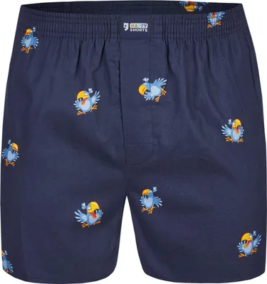 Zdjęcie produktu dla Happy Shorts – męskie bokserki z siateczki – styl amerykański, bawełna, wzór ptasich motywów, rozmiar M