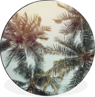 Produktbild von MuchoWow® Aluminium Wandkreis Palme - Sommer - Tropisch Ø 60 cm Wanddeko Modern Wohnzimmer - Wand Kreis - Wandbild - Schlafzimmer - Aluminium Bild - Kinderzimmer - Wohnzimmer Dekoration - Wandschmuck