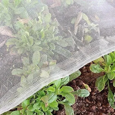 Produktbild von Garten Schutznetz 1,5 m x 10 m Insektenschutznet für Gemüsebeete Insektenschutznet für den Garten Vliesnet für Insekten Vliegenabwehrnetz für Gemüseblumen Beschutznetz für den Garten für den Gemüseanbau