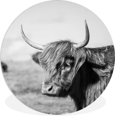 Produktbild von MuchoWow® Rundes Wandbild - Runde Bilder Schottischer Highlander - Tiere - Schwarz - Weiß Ø 60 cm Kreis Wanddekoration Kunststoff - Wandkreis - Wandschmuck - Wand Kreis - Das Schlafzimmer - Die Bilder - Wandmalerei - Kunst für das Haus - das Plastik