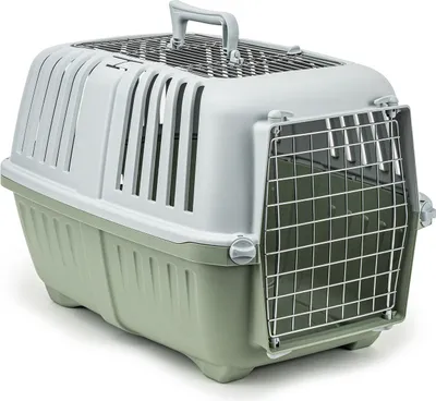 Produktbild von lionto Katzentransportbox, robust & pflegeleicht, mit sicherem Schließsystem & Metalltür, 58,5x35,5x40 cm, hellgrün
