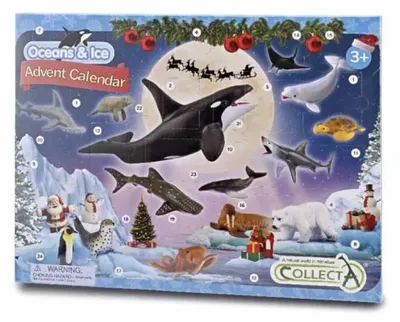 Produktbild von Collecta Oceans Adventskalender Mehrfarbig Kinder Mehrfarbig One Size
