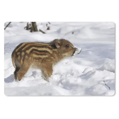 Produktbild von MuchoWow® Schreibtischunterlage Wildschwein - Tier - Schnee 60x40 cm - XXL Mauspad - Großes Mauspad