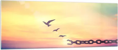 Produktbild von Bilder auf glas - Vogel Natur Wiese - 140x50cm - Glasbilder - Wandbilder - Kunstdruck - zum Aufhängen bereit - Wanddekoration aus Glas - Glas Bilder - Wandbild auf Glas - Einteilig - GAB140x50-3917