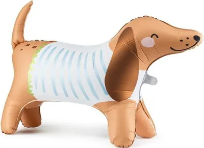 Zdjęcie produktu dla Stojšcy balon fol.Jamnik 89x58cm mix 64706