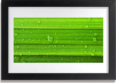 Produktbild von Bild 30x20 MDF-Rahmen Wandkunst Gras Natur Pflanze