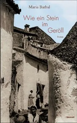 Produktbild von Wie ein Stein im Geröll
