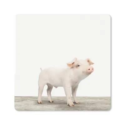 Produktbild von MuchoWow® Mauspad Mousepad Tiere - Schwein - Baby 20x20 cm - Mousepads - Maus Mat - Pad - Mausunterlage - Desk Mat - Bureauartikeln