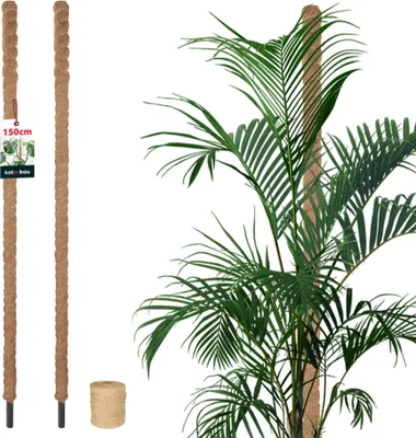Immagine prodotto di KOTARBAU® 2 pezzi Tutori per Piante ⌀ 3,2 x 150 cm Palo di Muschio per Monstera Fibra di Cocco Palo per Piante Marrone Stecche per Piante Bastone