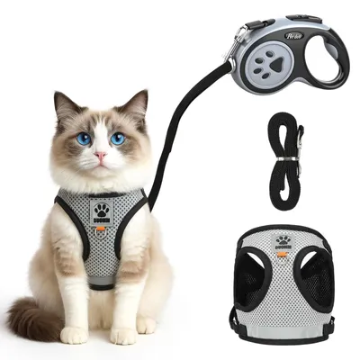 Image de Harnais pour chat avec laisse - Ensemble réglable et respirant pour chats