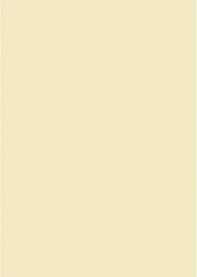 Produktbild von Universalpapier chamois DIN A4 160g