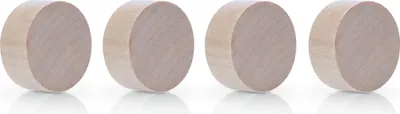 Image de magnetoplan Aimant Wood Series Circle 1665449 30mm Bouleau 4pc