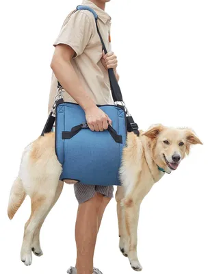 Produktbild von Hundetragegurt Hundegeschirr Hebegeschirr - Unterstützung für ältere Hunde - XL - Schwarz - Für Treppe und Auto