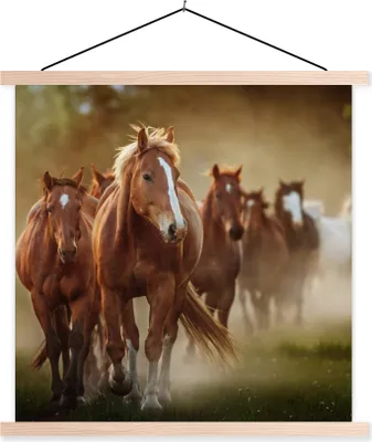 Produktbild von MuchoWow® Textilposter Pferde - Licht - Natur 120x120 cm mit holzfarbenen Rahmen - Textil-Poster
