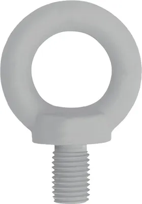 Immagine prodotto di Bullone ad occhiello Kleinsorge DIN 580 filettatura M16 - 66000161
