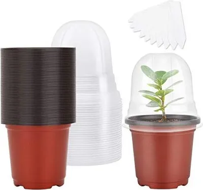 Produktbild von MIXC Anzuchttöpfe Pflanzentopf 30 Stück 10cm Blumentopf Plastik mit Feuchtigkeitskuppel, Rund Pflanztöpfe Kunststoff Saattöpfe übertöpfe mit 10 Steckettiketten