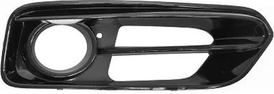 Produktbild von DIEDERICHS Lüftungsgitter Grill Stoßfänger für BMW 1 Schrägheck (F20) Schwarz