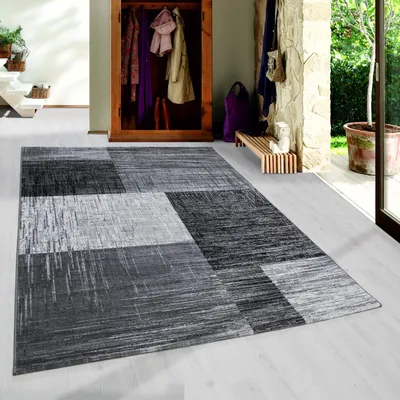 Obrázok produktu pre Homebyhome Moderní Designový Koberec do Obývacího Pokoje Trendový Vzor Krátký Vlas Obdélníkový M?kký a Snadná Údržba, Velikost: 200x290 cm