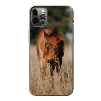 Produktbild von MuchoWow® Handyhülle Schutzhülle Hülle für iPhone 12 Pro Max Pferd - Sonne - Landschaft Silikon Softcase Handy Hülle - Hartschale