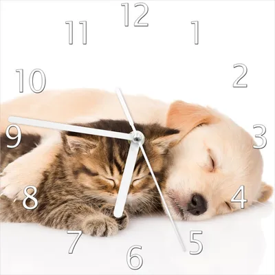 Produktbild von Wallario Design Wanduhr Katze und Hund in Harmonie - Kuschelnde Tiere aus Echtglas, Größe 20 x 20 cm